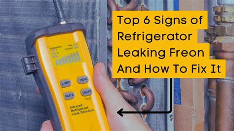 signs of freon leak in refrigerator|How to Detect and Prevent Freon Leaks in Your Fridge: A。